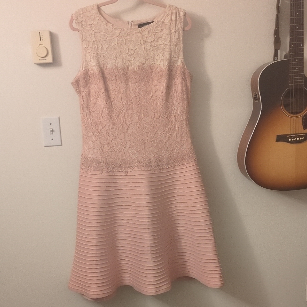 Tadashi Shoji Blush Lace Midi Dress